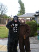 Purim in the Jungle