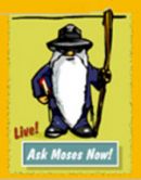 Askmoses
